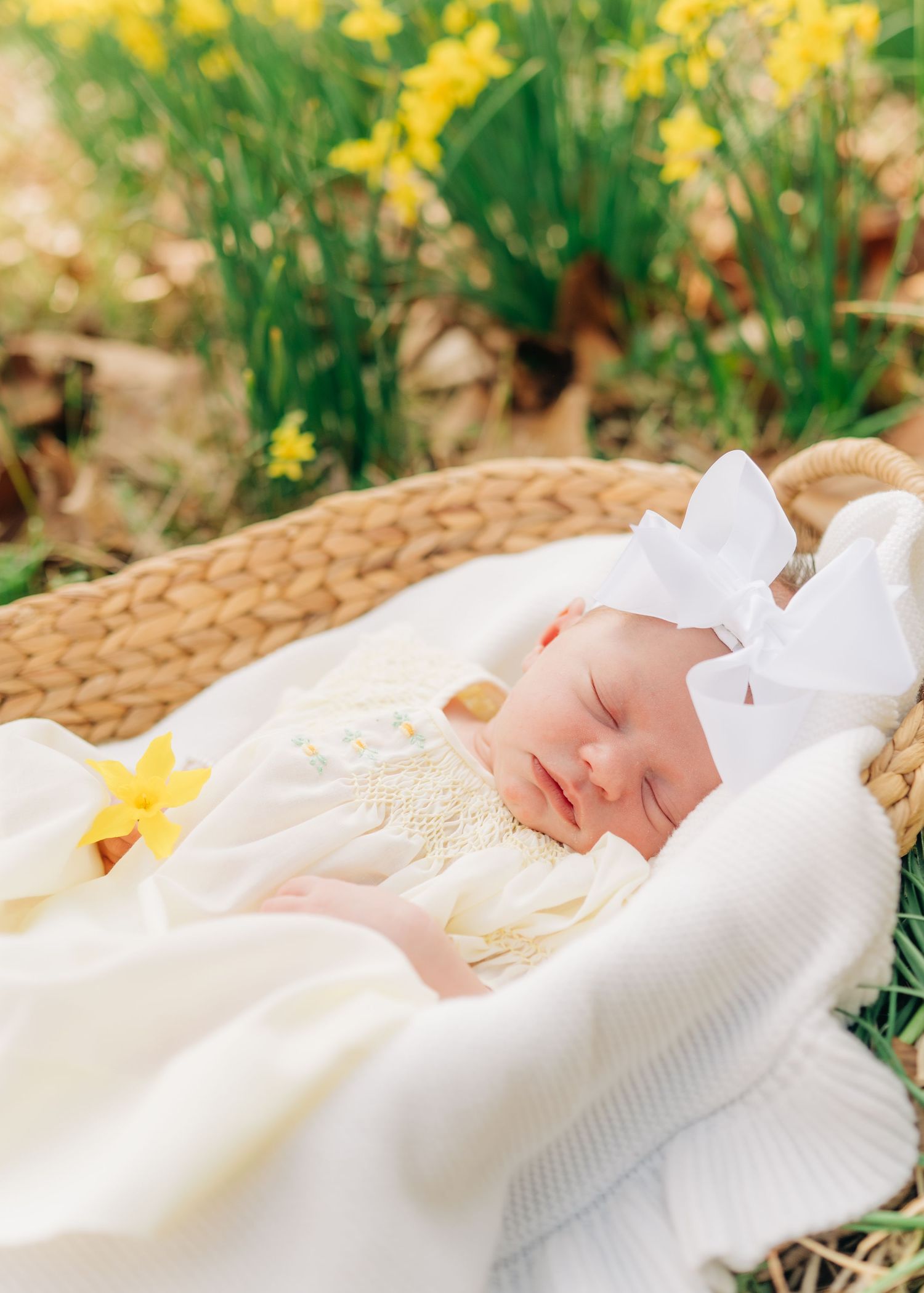 Peaceful sleeping newborn baby in cream smocked outfit with white bow headband in a wicker basket among daffodils.