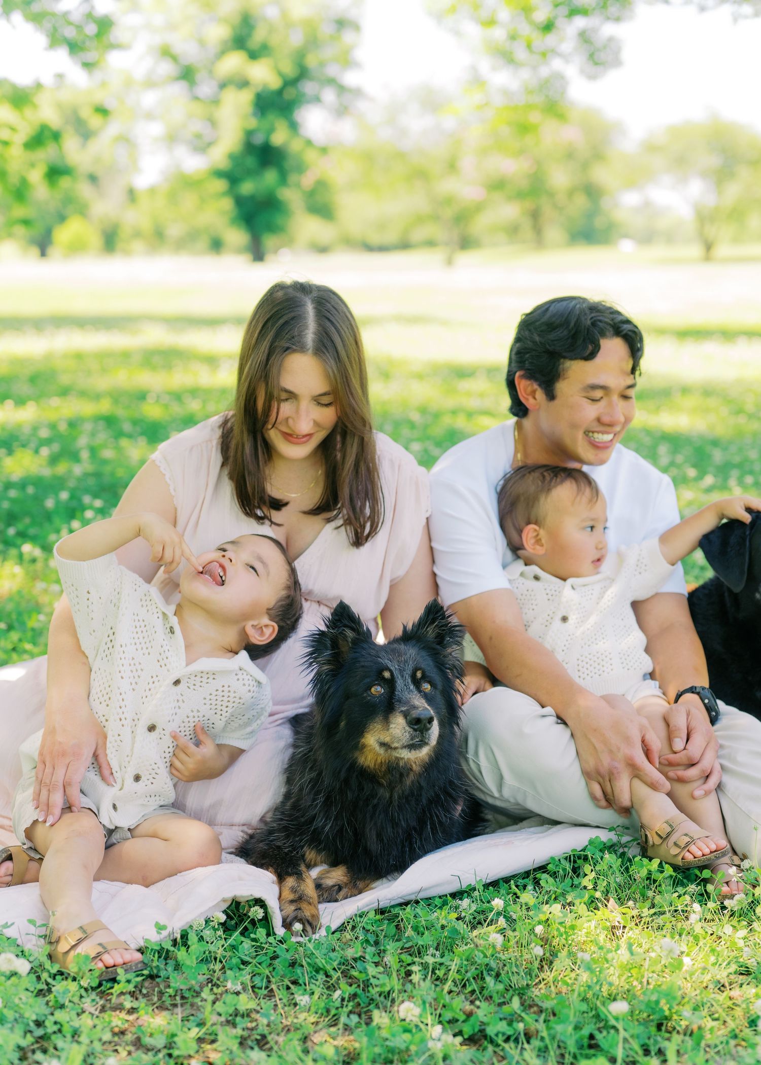Happy family with two young children and a black dog sitting on a blanket in a sunny green park.