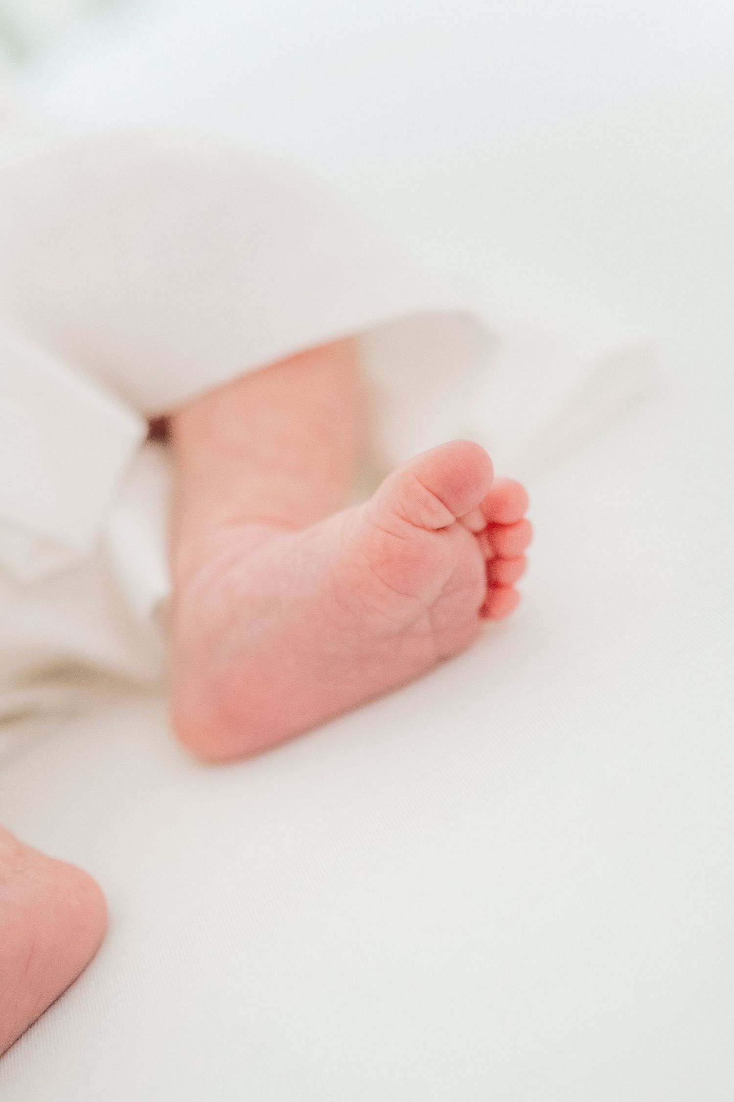 Close-up of tiny newborn baby feet wrapped in a soft white blanket on a white surface.