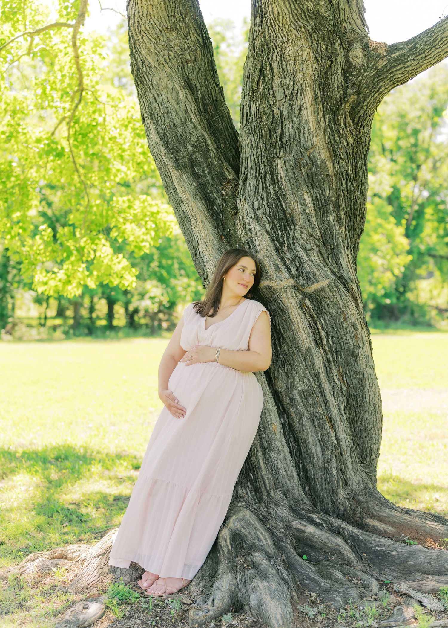 Expectant mother in blush pink maxi dress standing against large tree trunk in lush green park setting.
