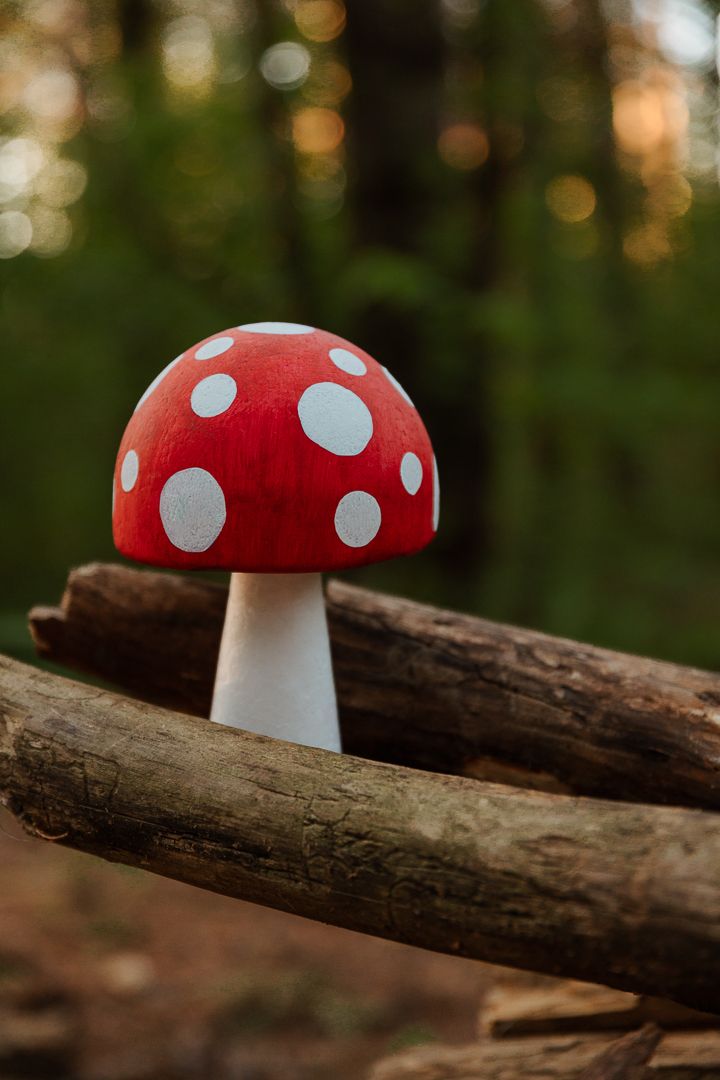 A decorative red and white polka dot mushroom figurine resting on wooden logs in a forest setting.