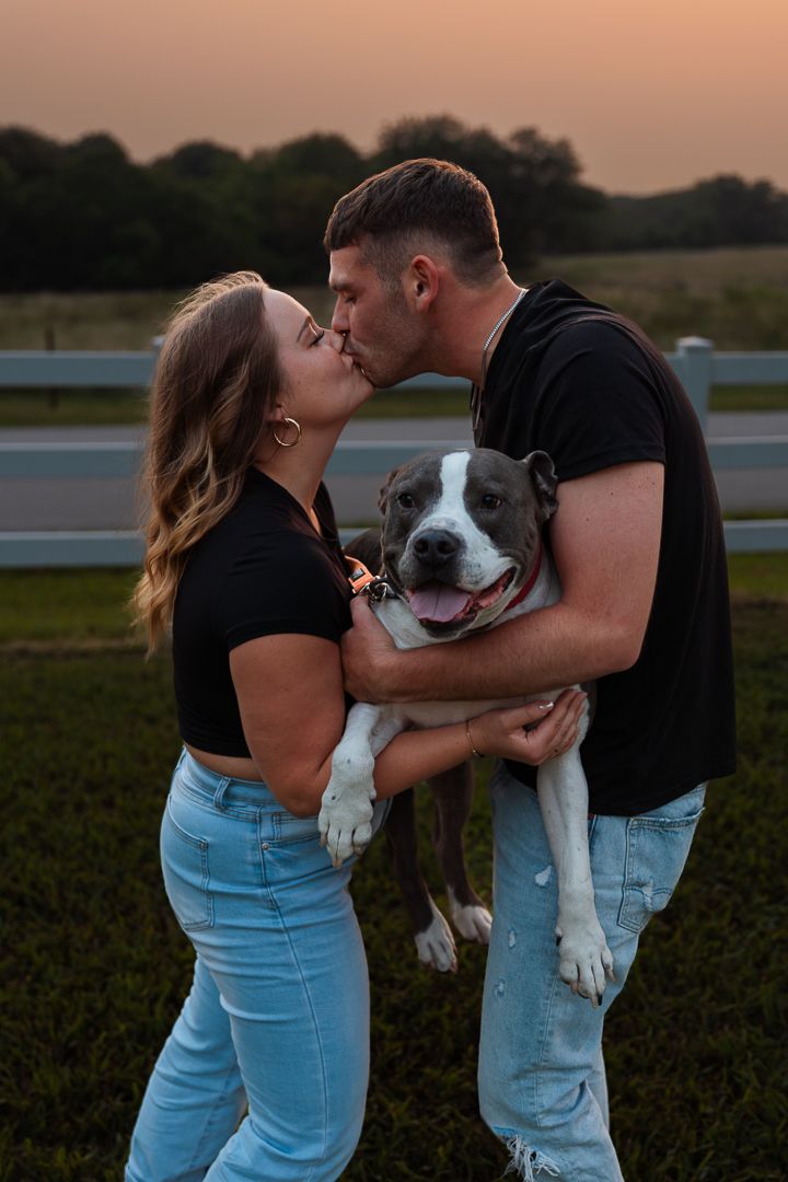 A couple shares intimate moments with their pitbull mix dog during a golden hour outdoor photo session.