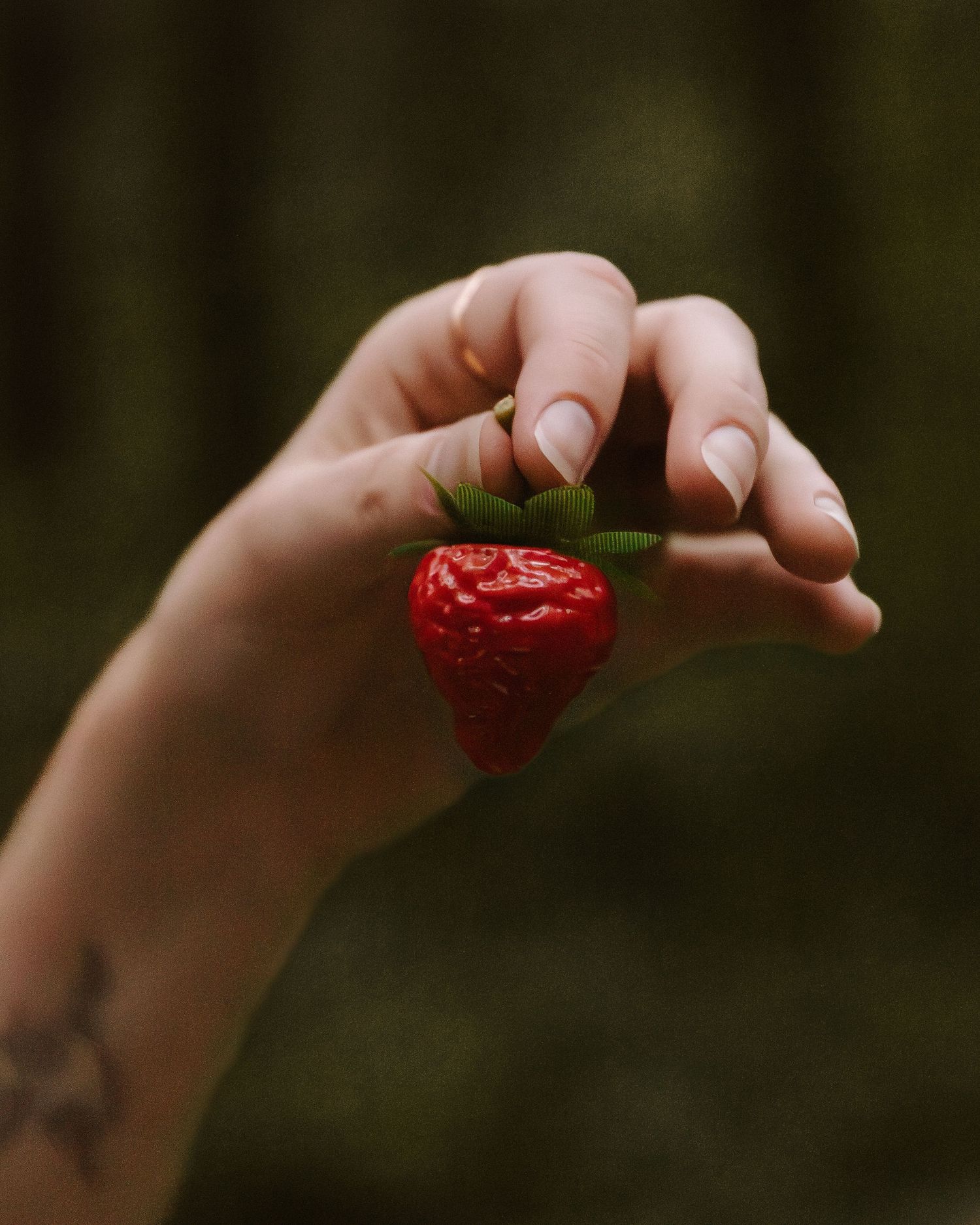A tattooed hand holding a fresh red strawberry with green leaves against a dark bokeh background.