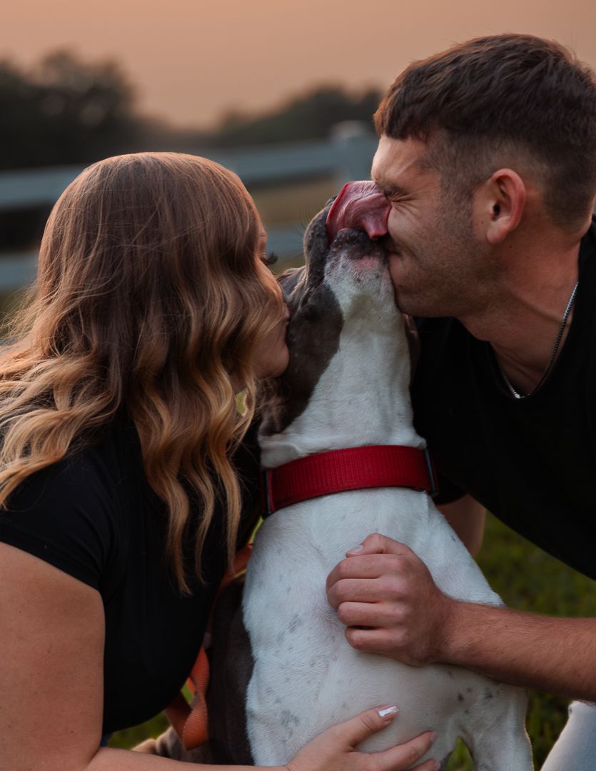 A white fluffy dog shares affectionate moments with its owners during an outdoor sunset photography session.