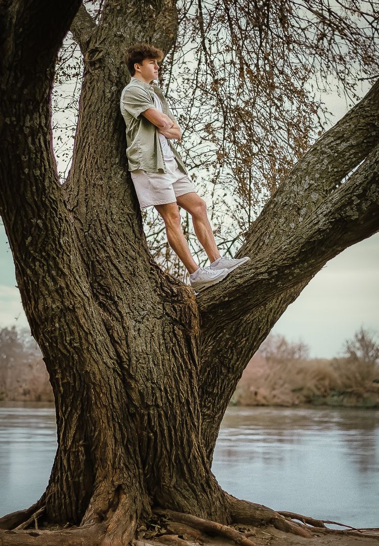 Person sits perched in a large branching tree overlooking a serene river on a muted winter day.
