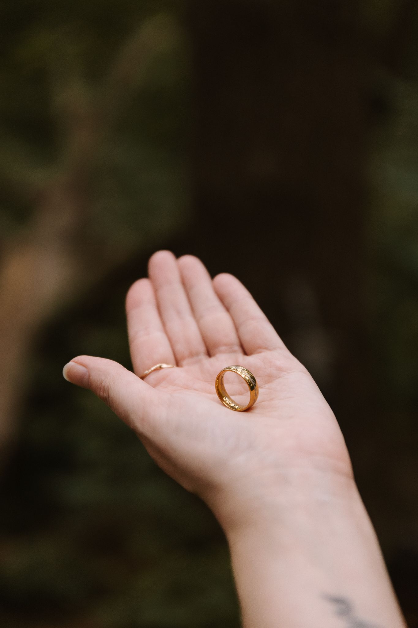A hand holding two gold wedding rings against a blurred green forest background.