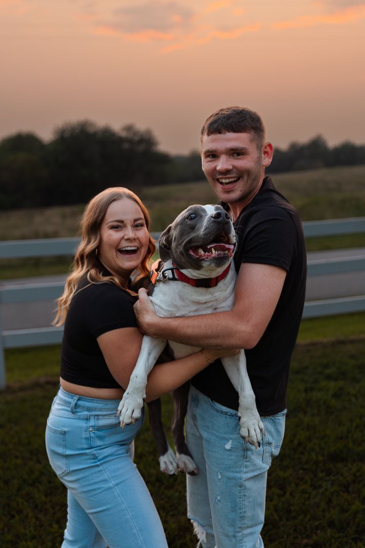 A couple in matching black tops and jeans laugh while holding their happy pit bull during golden hour sunset.