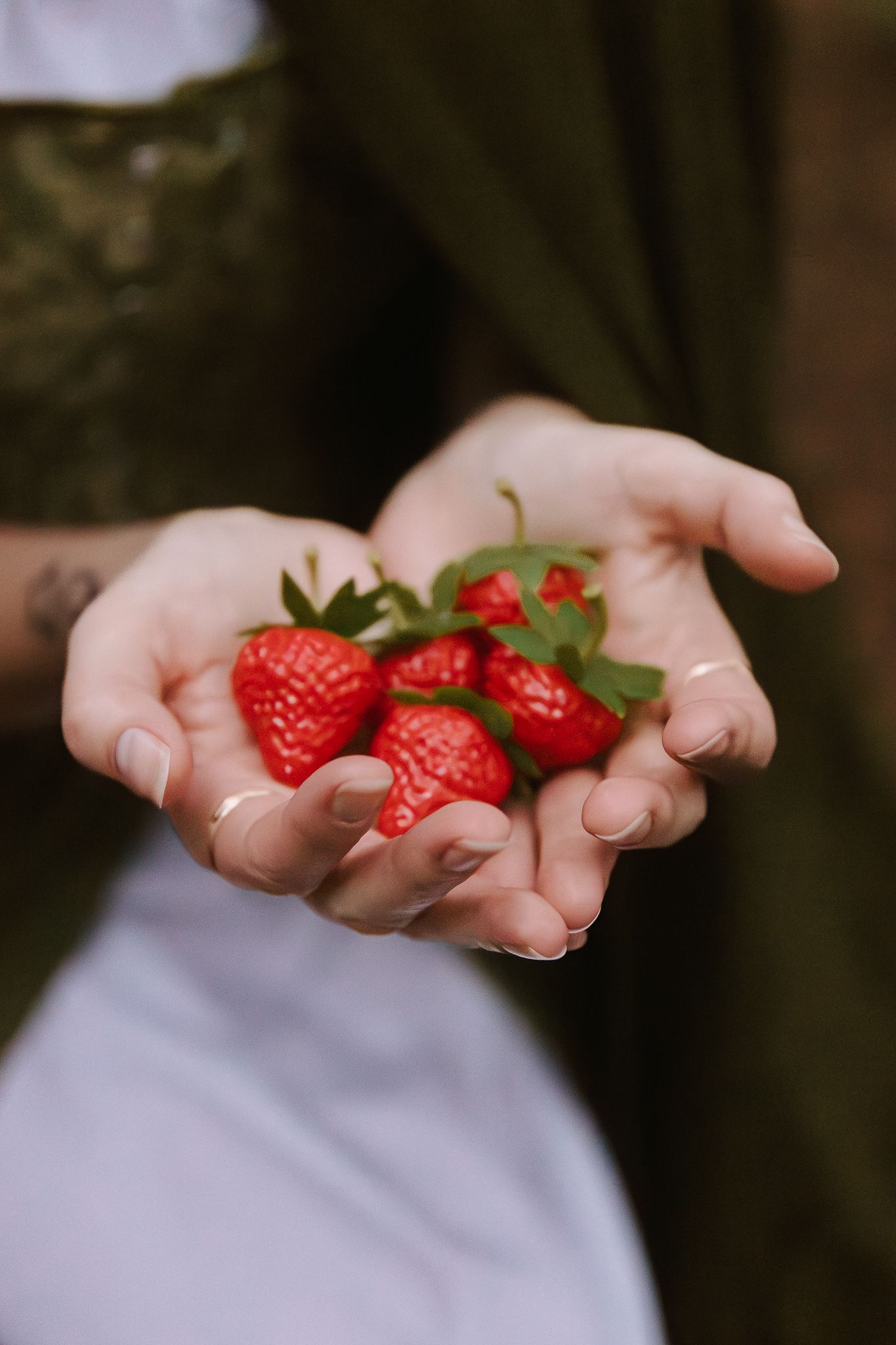 Close-up of hands holding fresh red strawberries with green leaves.