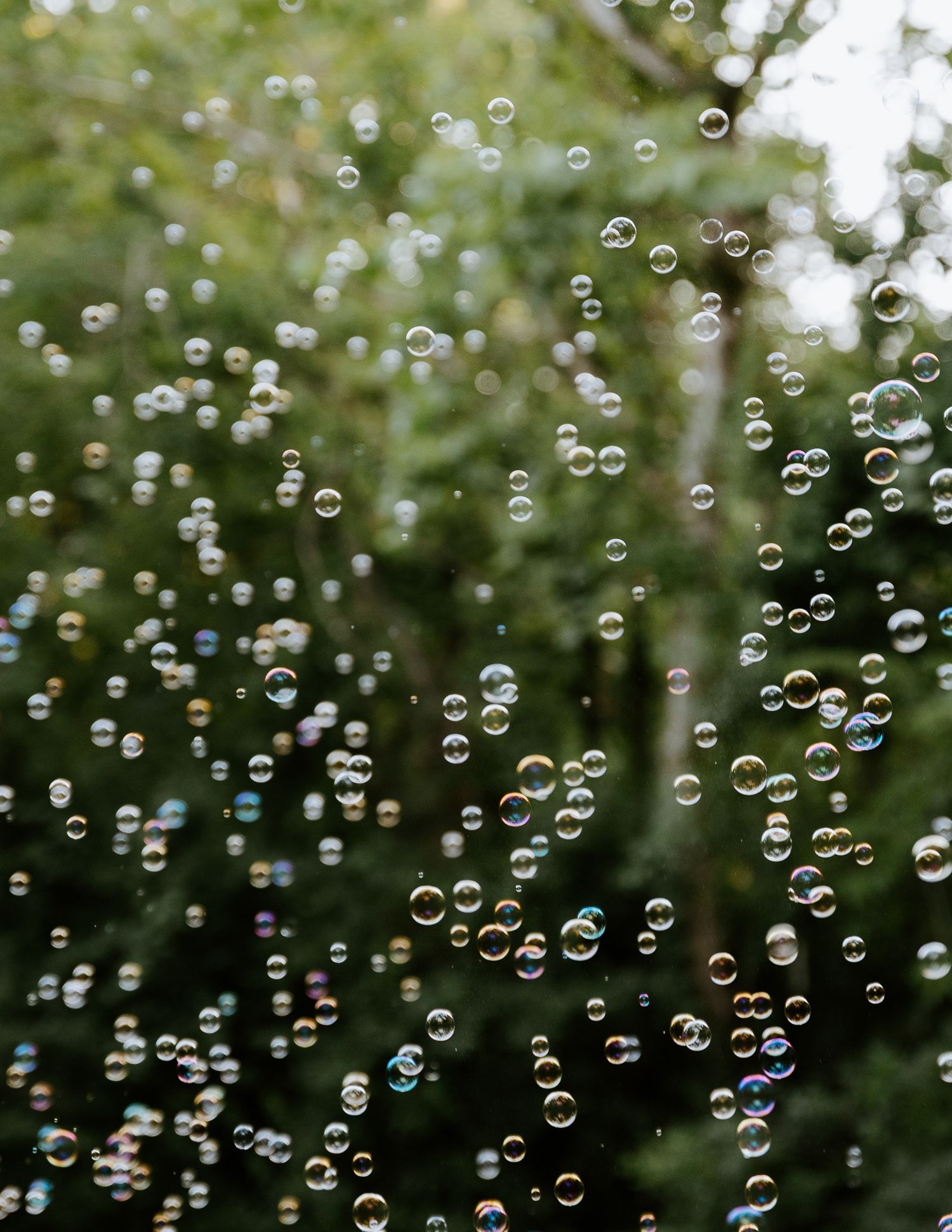 Hundreds of iridescent soap bubbles floating in the air outdoors with lush green trees in the background.
