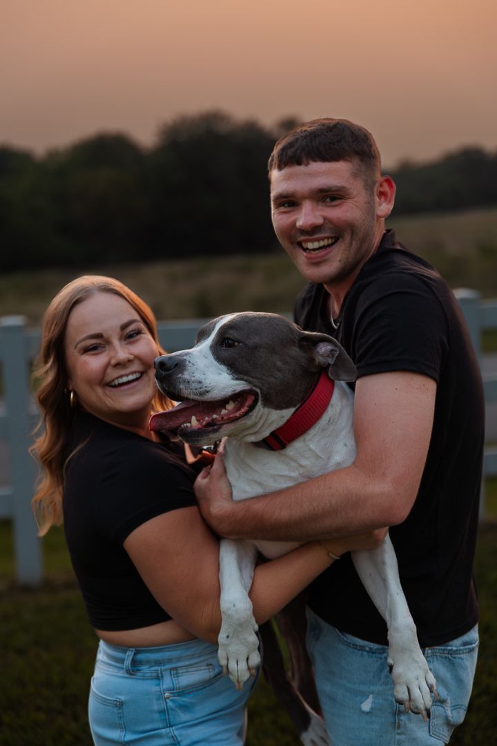 Happy couple plays with their white and grey dog during sunset photoshoot in countryside setting.