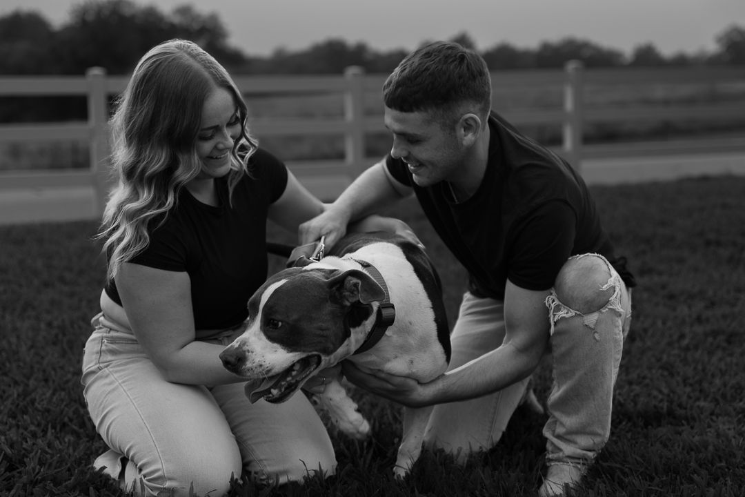 Black and white photo of a couple petting their Boston Terrier dog together outdoors in a field.