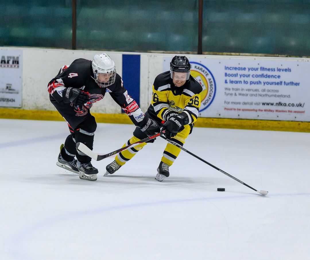 Ice hockey players battle for the puck during the opening face-off of a competitive ice hockey match.