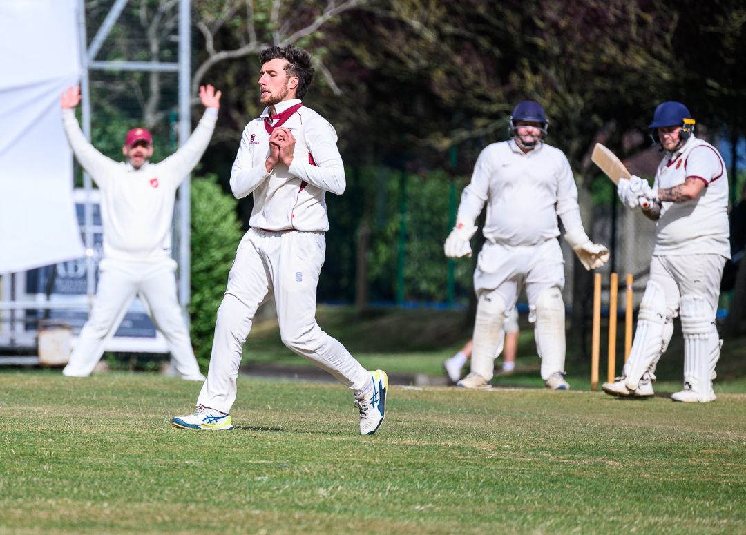 Cricket bowler celebrates after taking a wicket during a competitive grassroots cricket match.