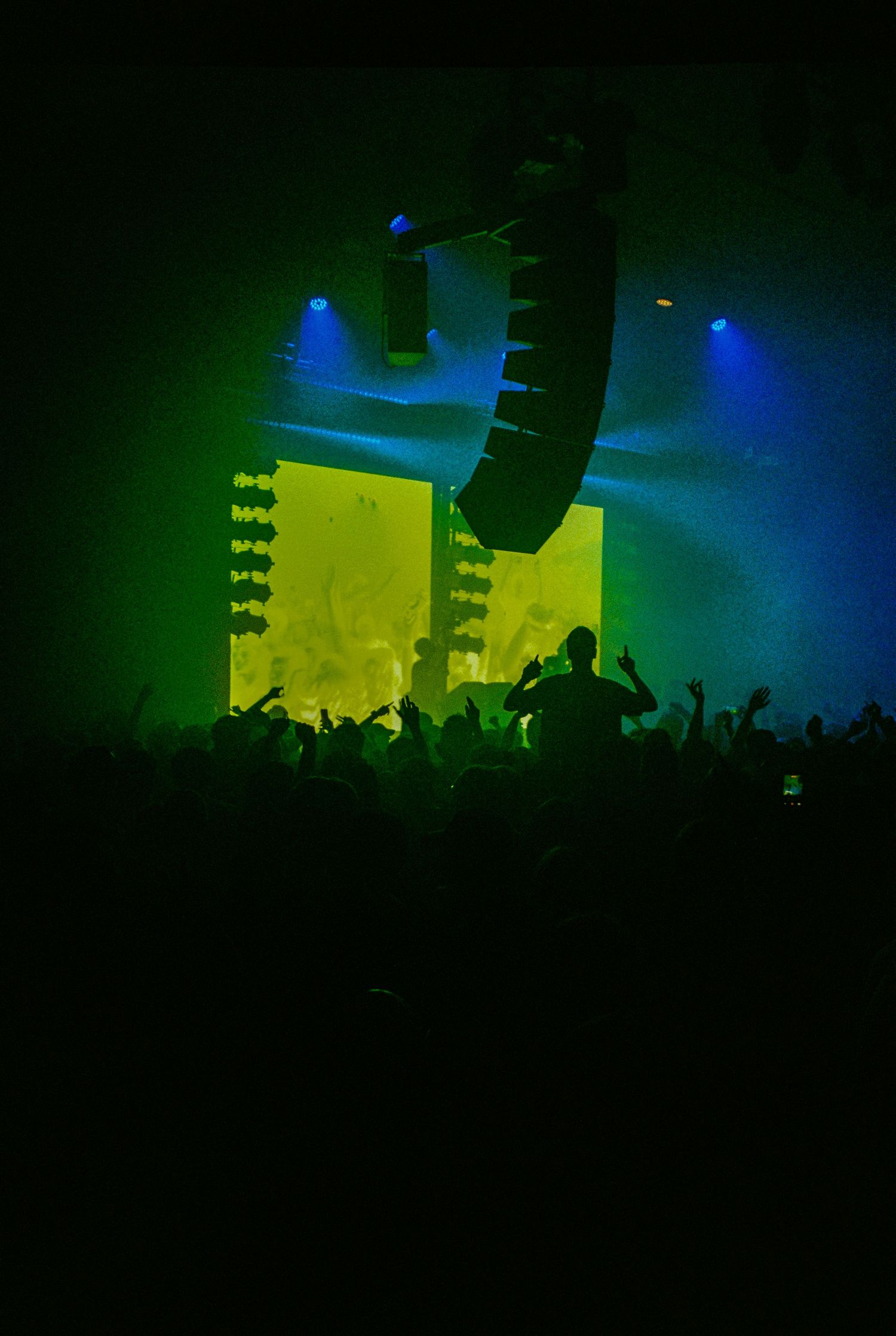 Crowd silhouetted against vibrant green and yellow stage lights at an electronic music concert.