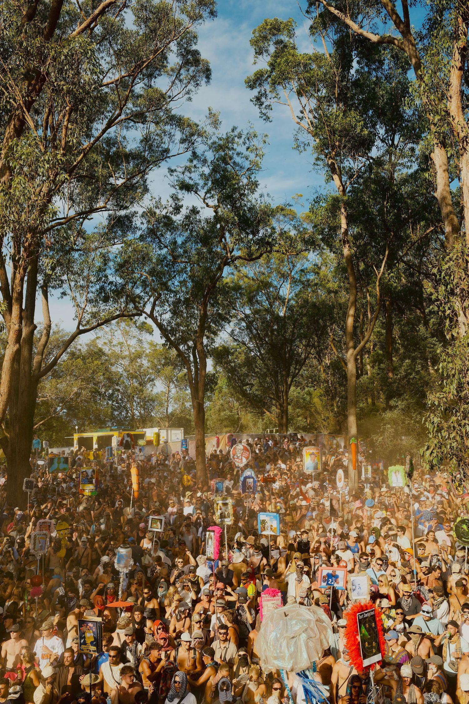 Massive outdoor music festival crowd surrounded by tall eucalyptus trees on a sunny day.