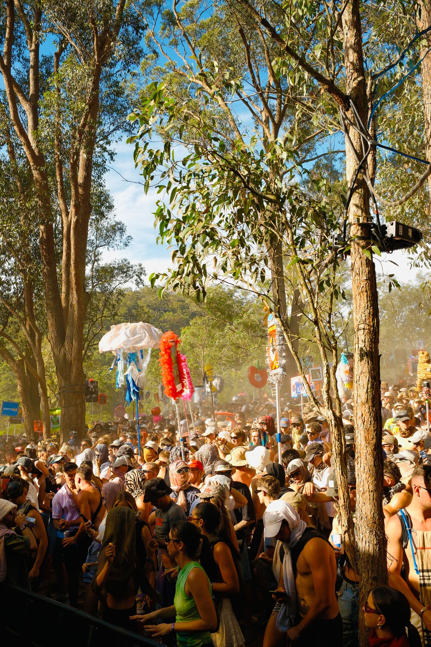 Large colorful crowd at an outdoor music festival surrounded by tall eucalyptus trees.
