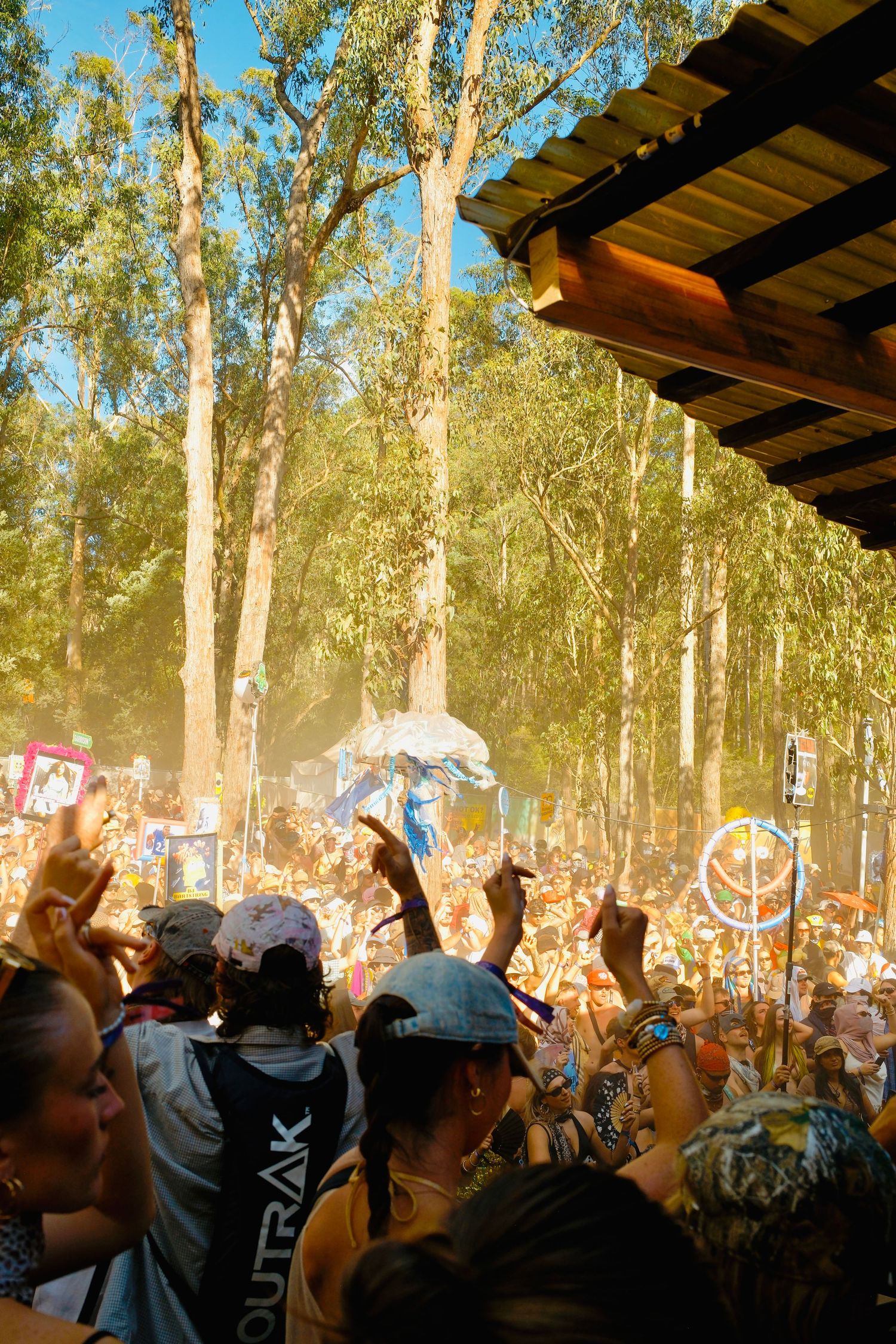 Large festive crowd surrounded by tall eucalyptus trees at a sunny outdoor music festival.