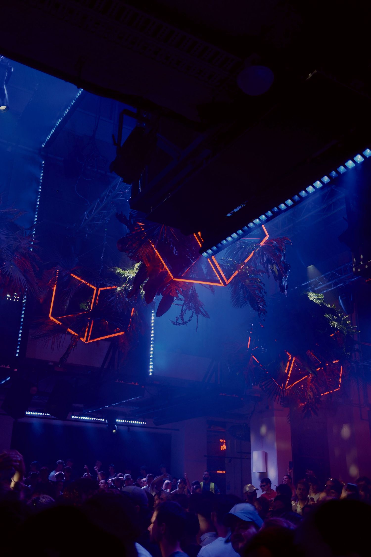 Neon geometric lights and tropical plants hang above a crowded nightclub dance floor bathed in blue light.