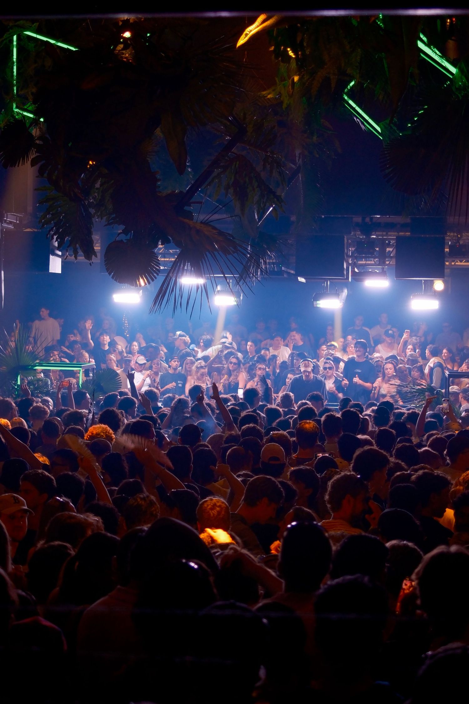 Large crowd dancing under tropical palm trees and blue stage lights at an outdoor night concert.