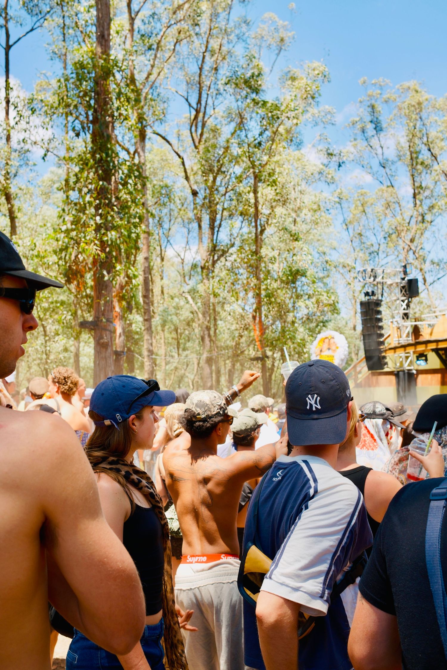 Festival crowd watching a performance under tall eucalyptus trees on a sunny day.
