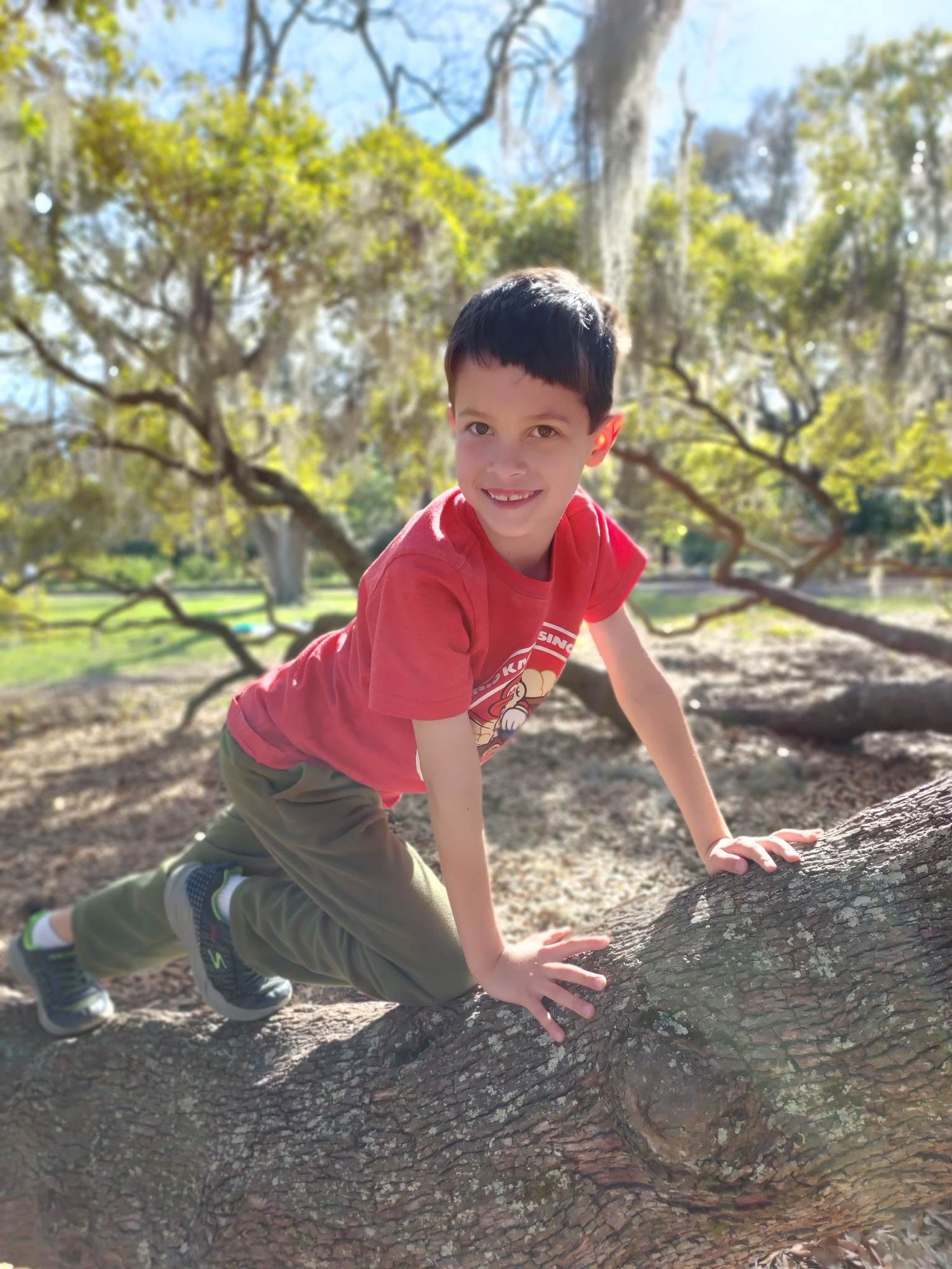 Seven year old Brandon climbs a large limb at Hampton Park