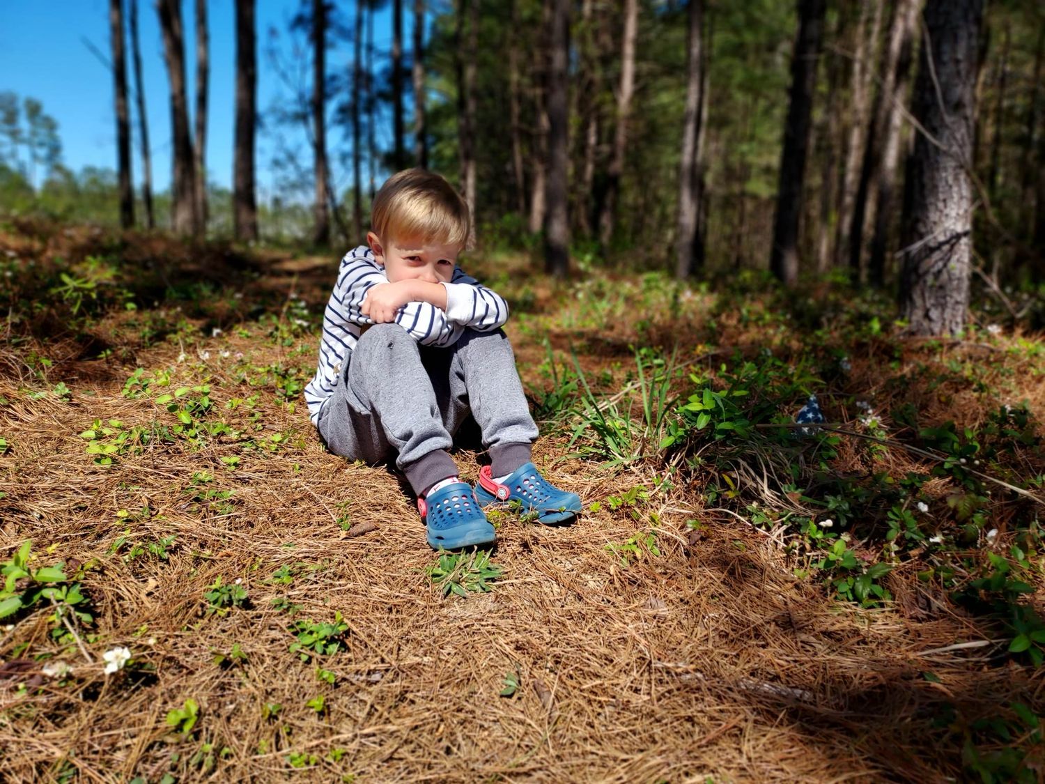 A little boys sits in a small clearing in the woods
