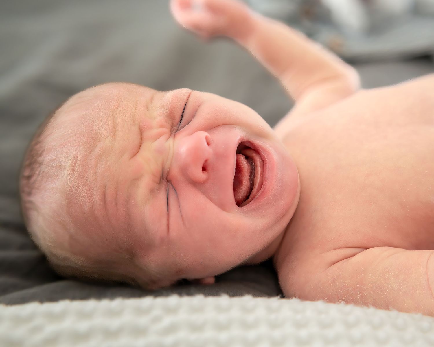 Crying newborn baby lying on gray blanket during photography session.