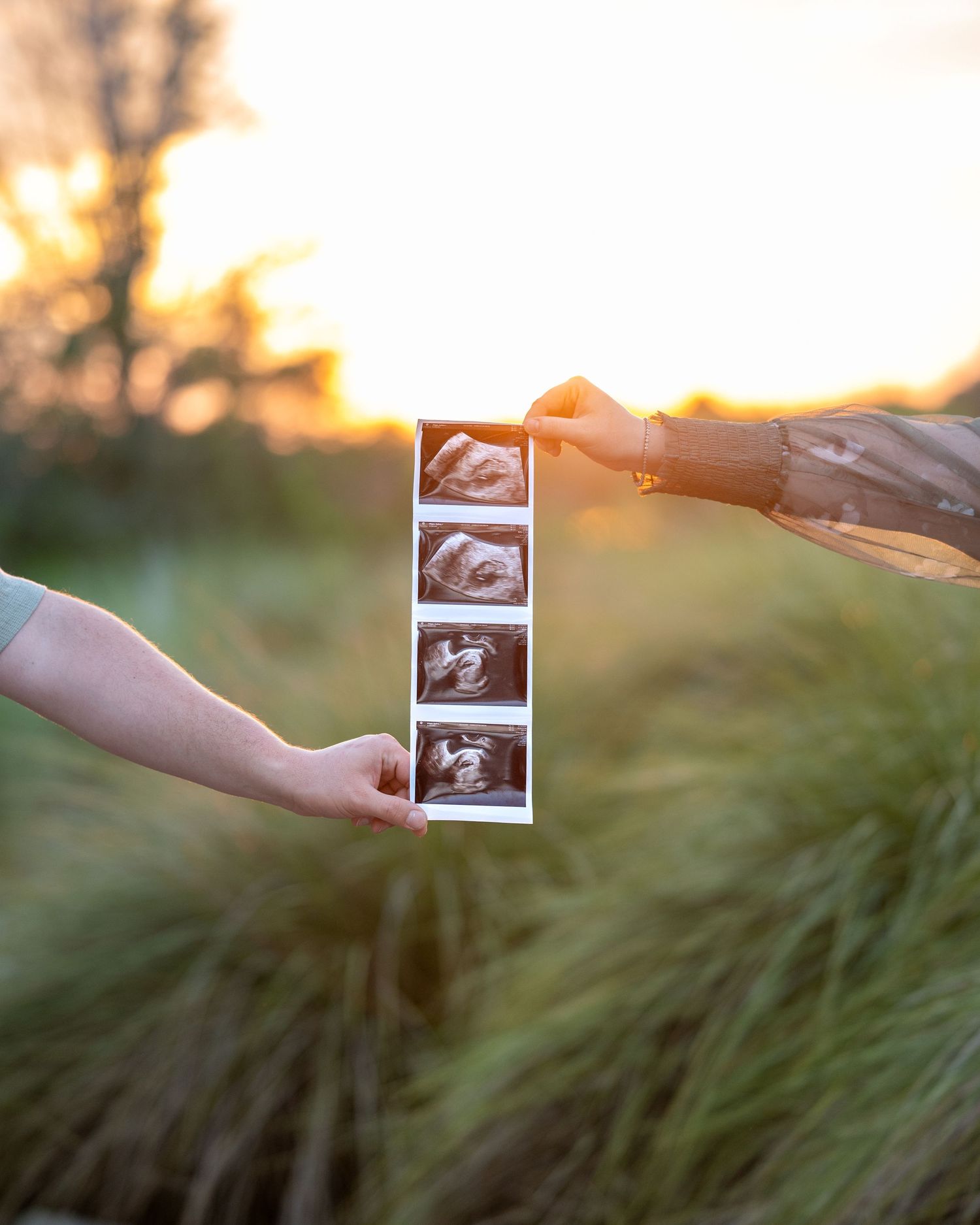Two hands holding ultrasound sonogram photos together outdoors at golden sunset with green grass in background.