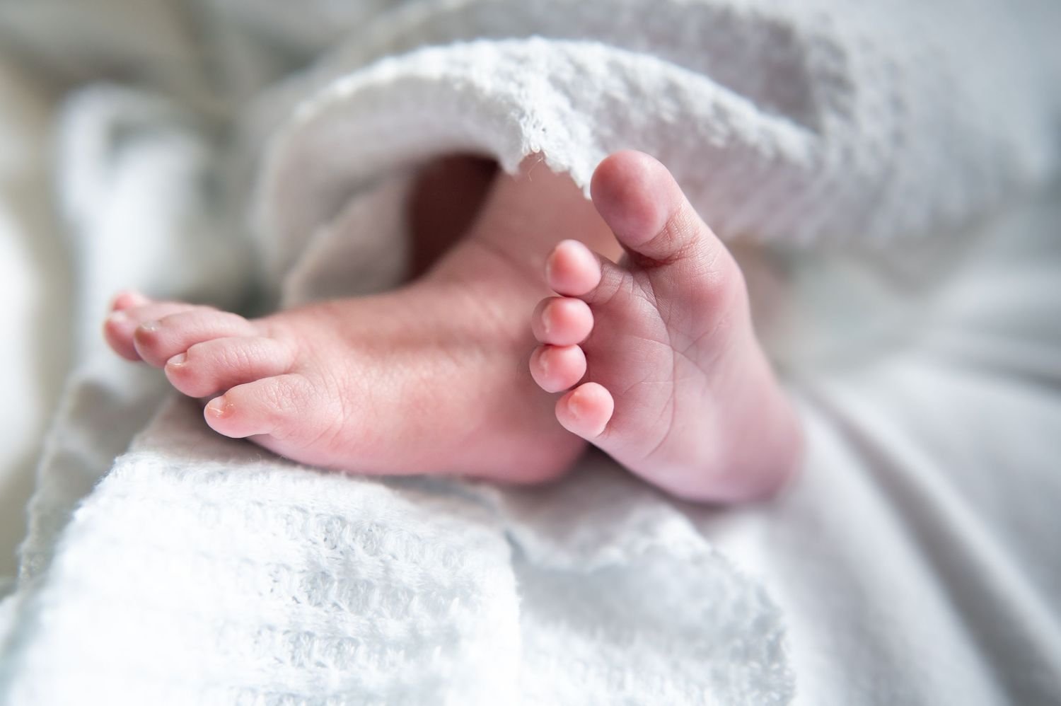 Close-up details of tiny newborn feet wrapped in soft white blankets.