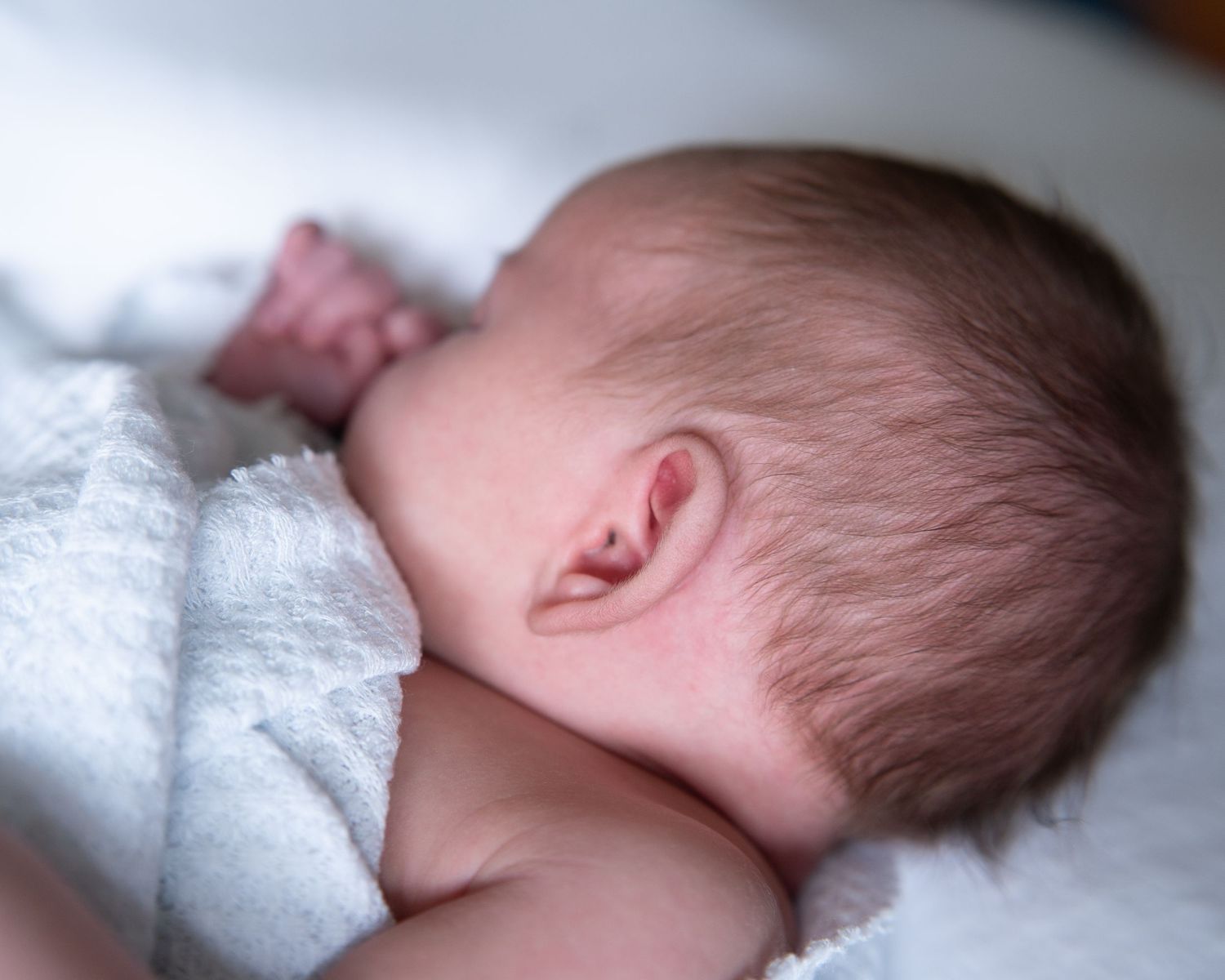 Sleeping newborn baby wrapped in soft white blanket showing peaceful profile view.