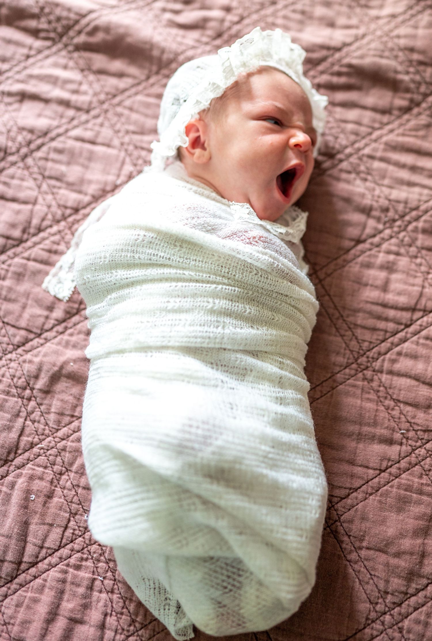 Newborn Photographer, Charleston SC