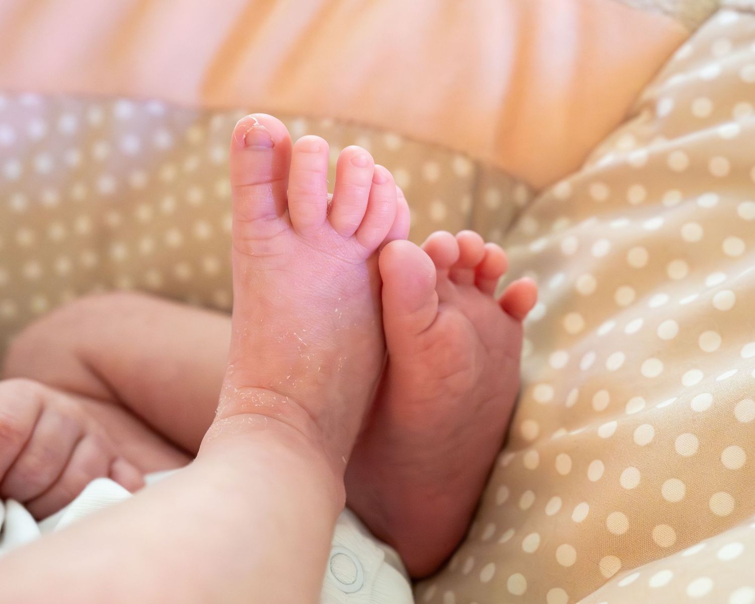 Close-up of tiny baby feet against polka dot blanket.