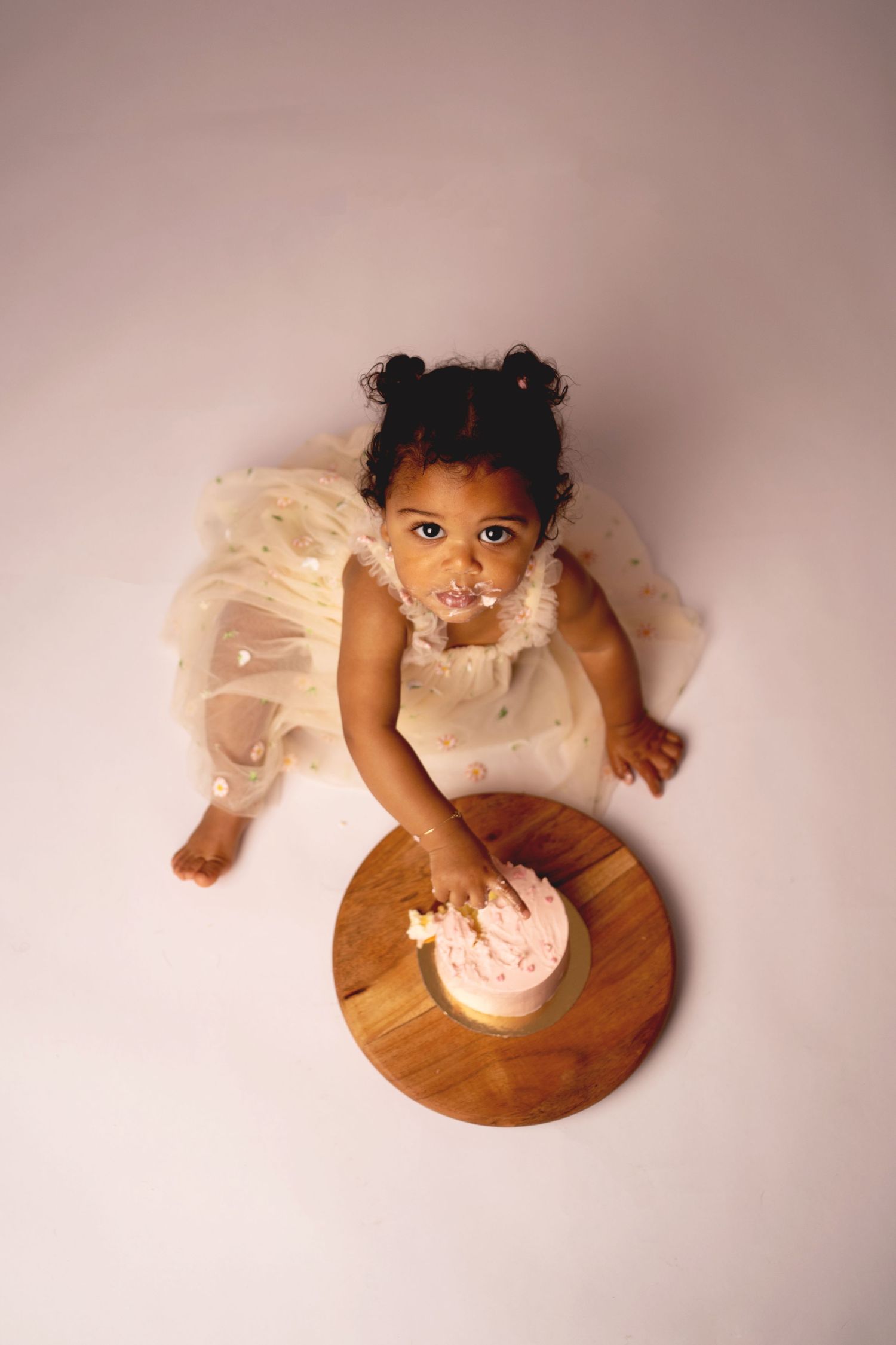 photographe smash the cake côte d'Armor