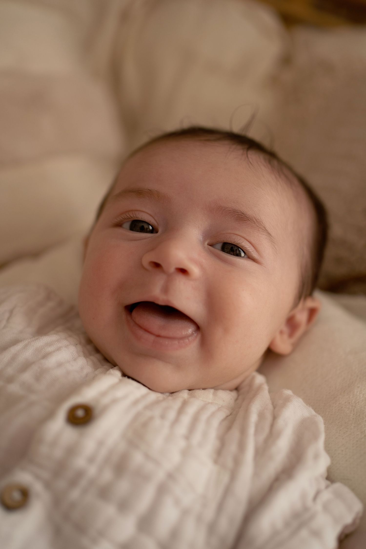 photographe naissance Dinan