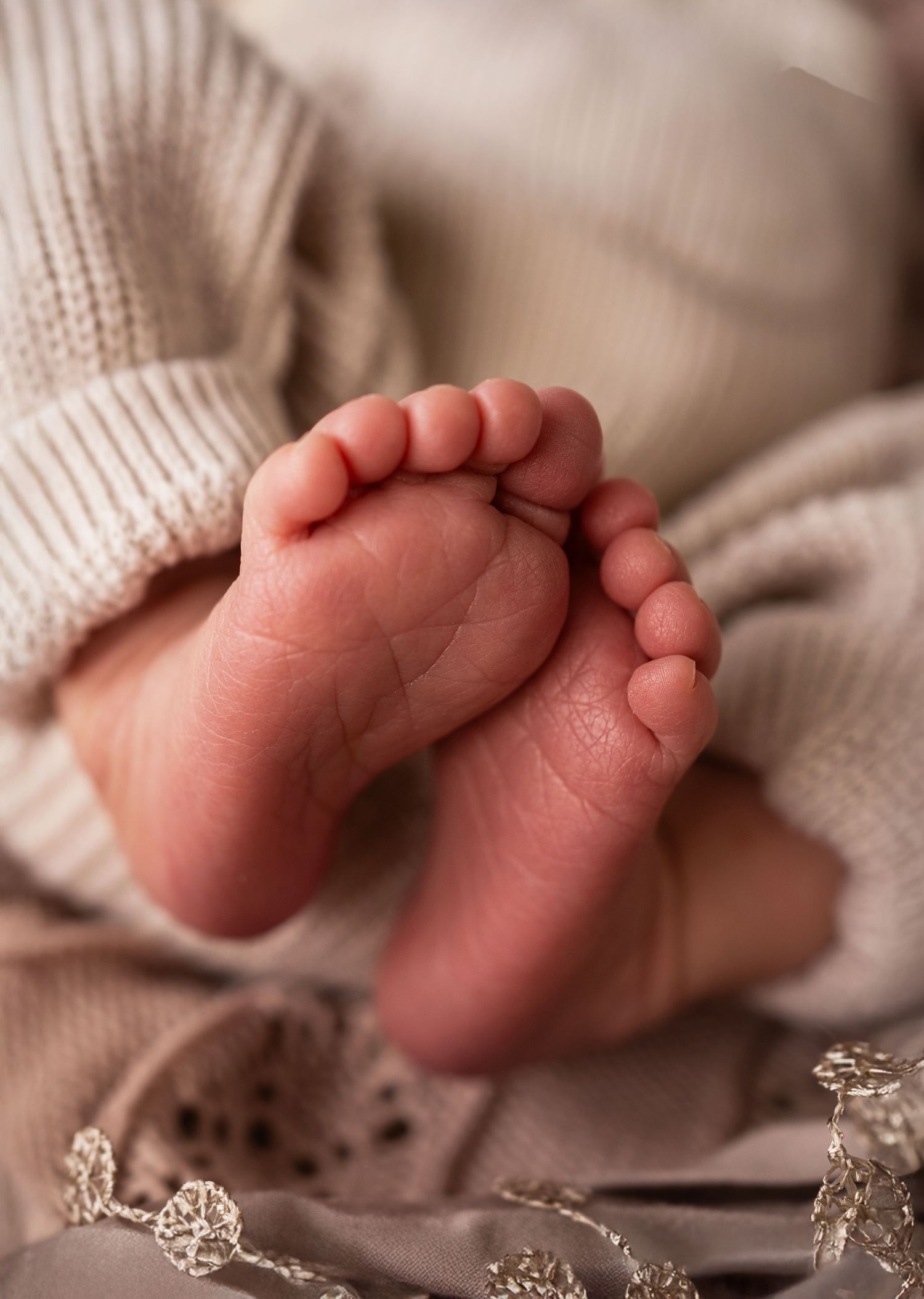 photographe naissance Lamballe
