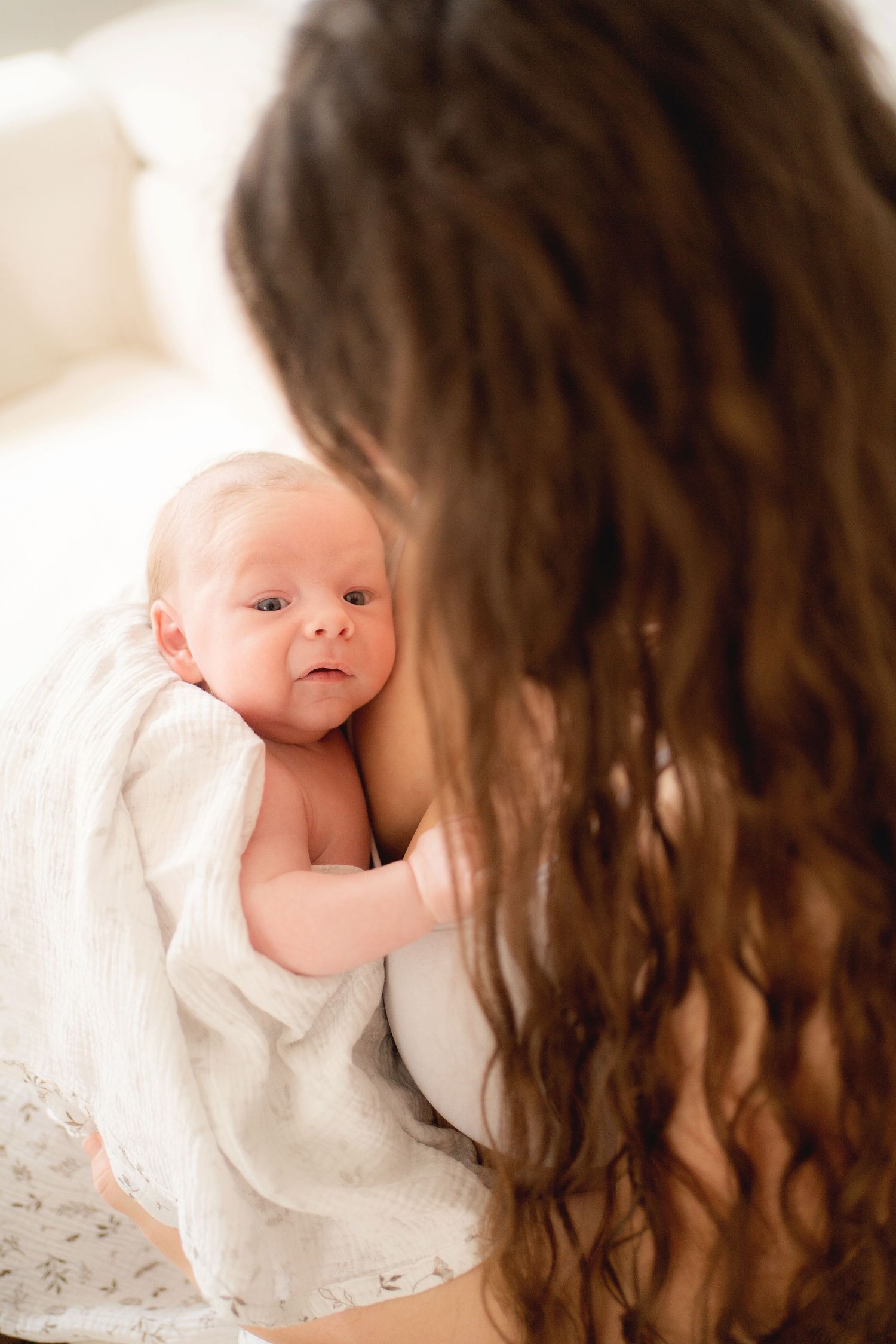 photographe naissance Lamballe