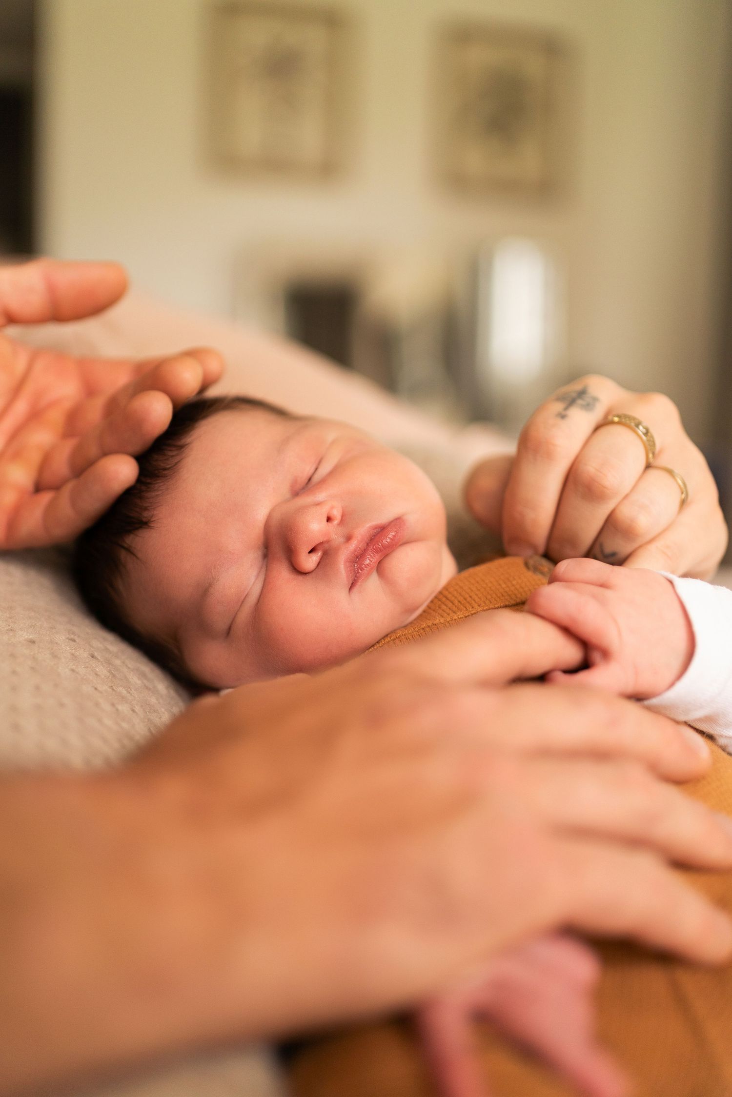 photographe naissance saint cast
