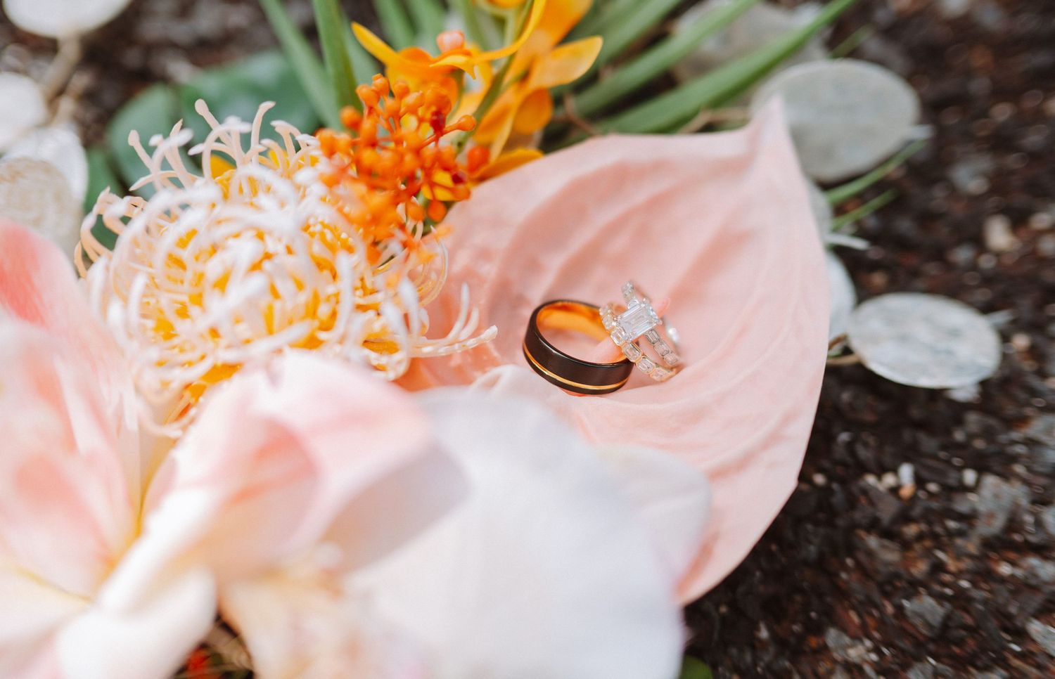 Lanelle Media Key West photography company offering branding, wedding, lifestyle, and commercial services