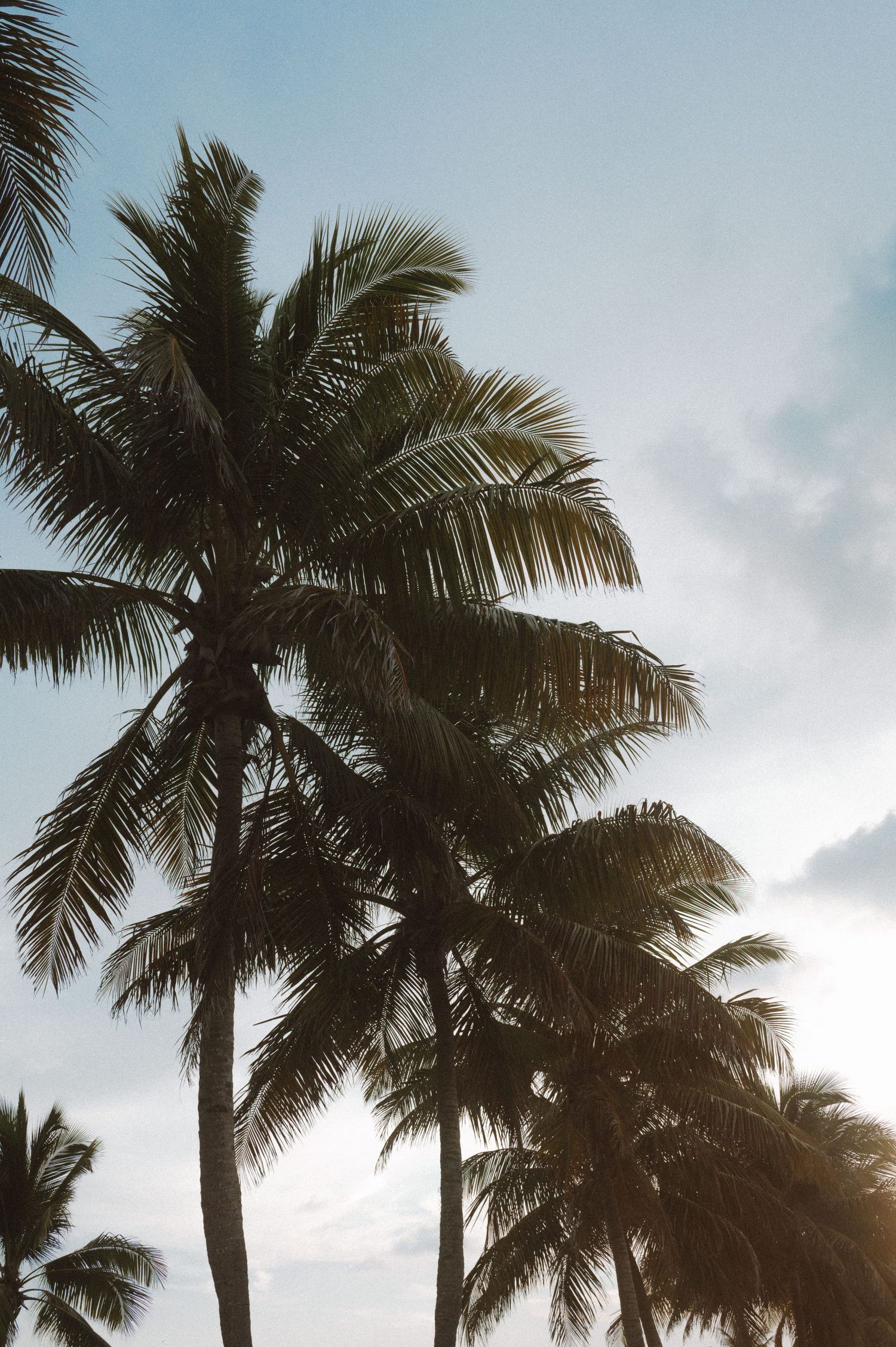 Celebrating graduation with Key West senior photography sessions featuring coastal beach and sunset portraits