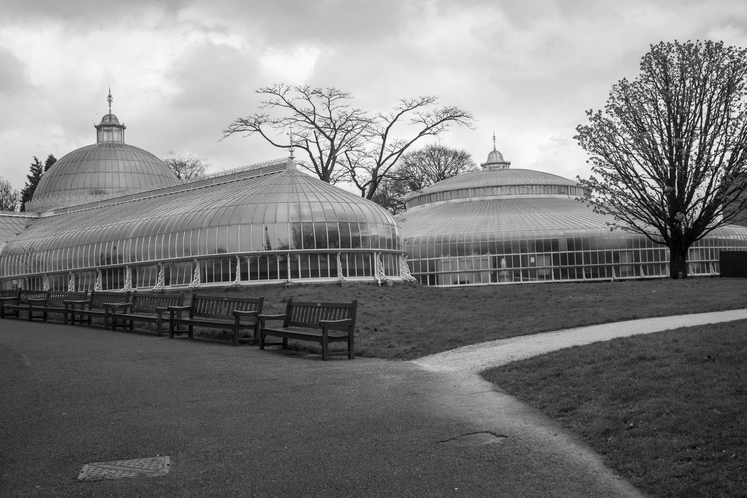 Black and white photo, green house