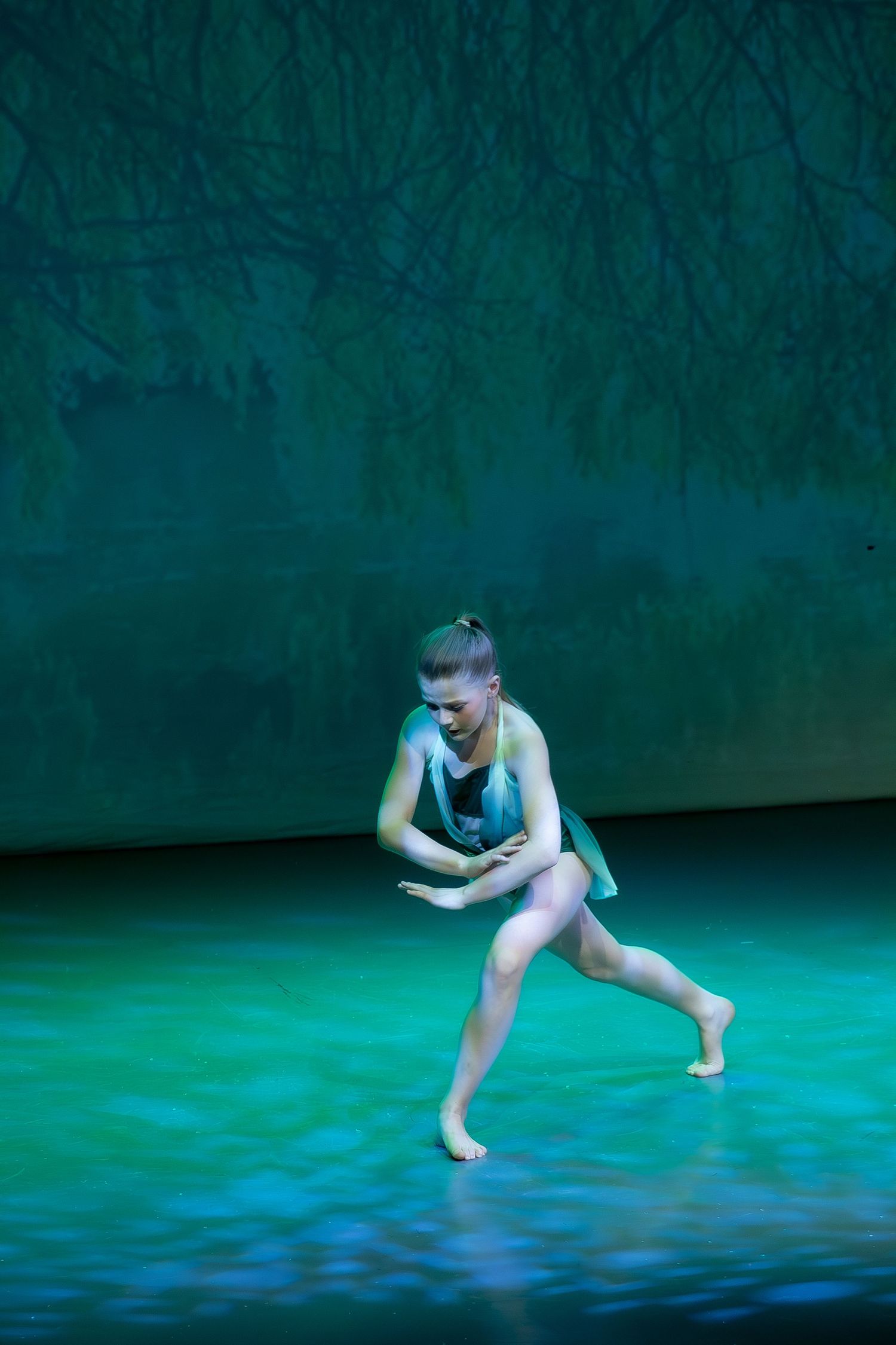 Ballet Dancer