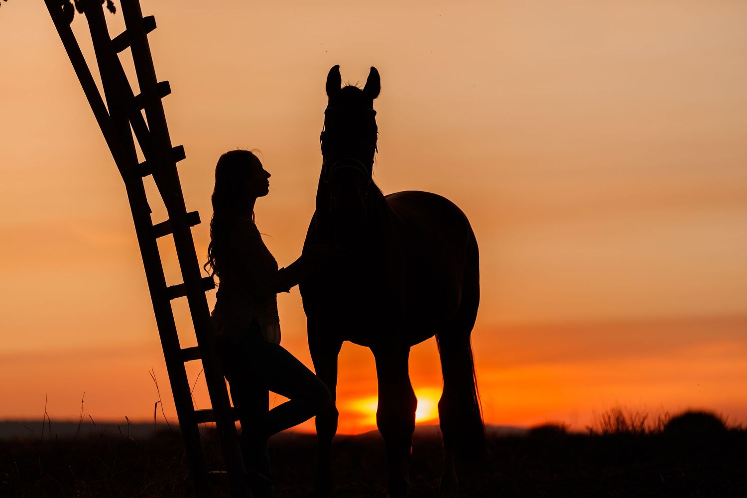 Mensch und Pferd beim Sonnenuntergang als Silhouette