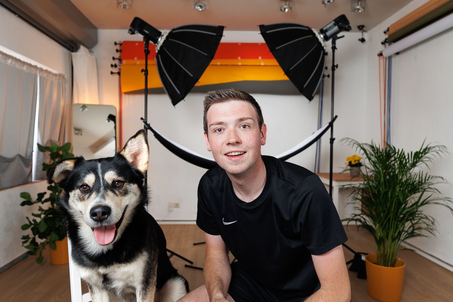 Studio photography setup with lighting equipment and a happy husky dog. osthofen