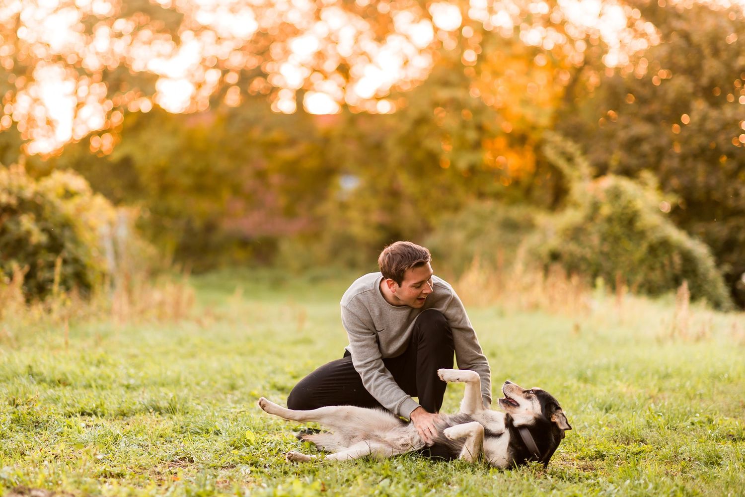 Couple enjoys intimate moments during autumn sunset photo session outdoors.