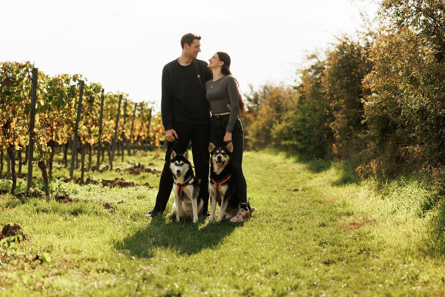 A couple and their dog pose together in a sunny vineyard setting. osthofen