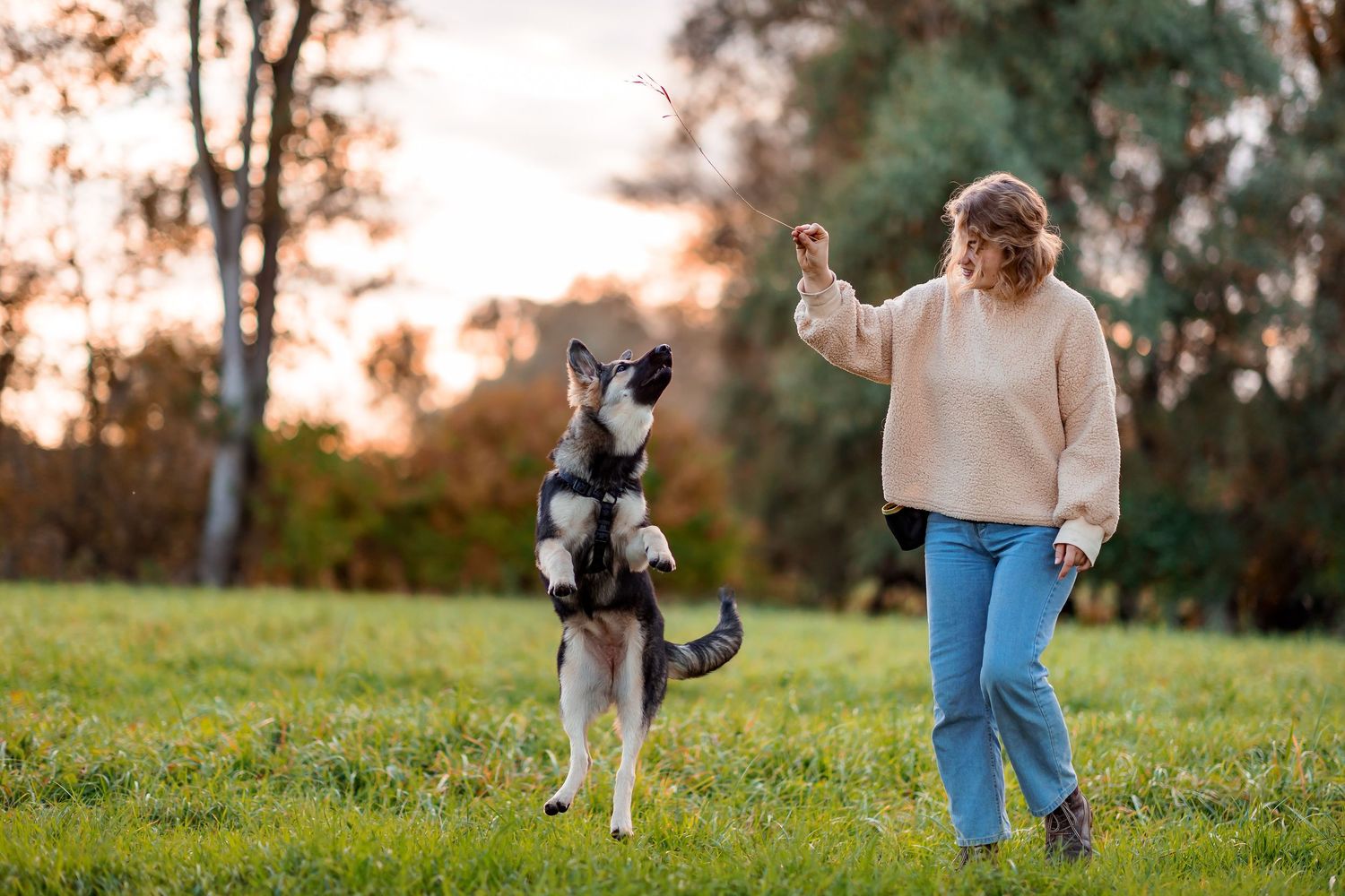 Playful interaction between a person and a black and white horse in a grassy field at sunset.