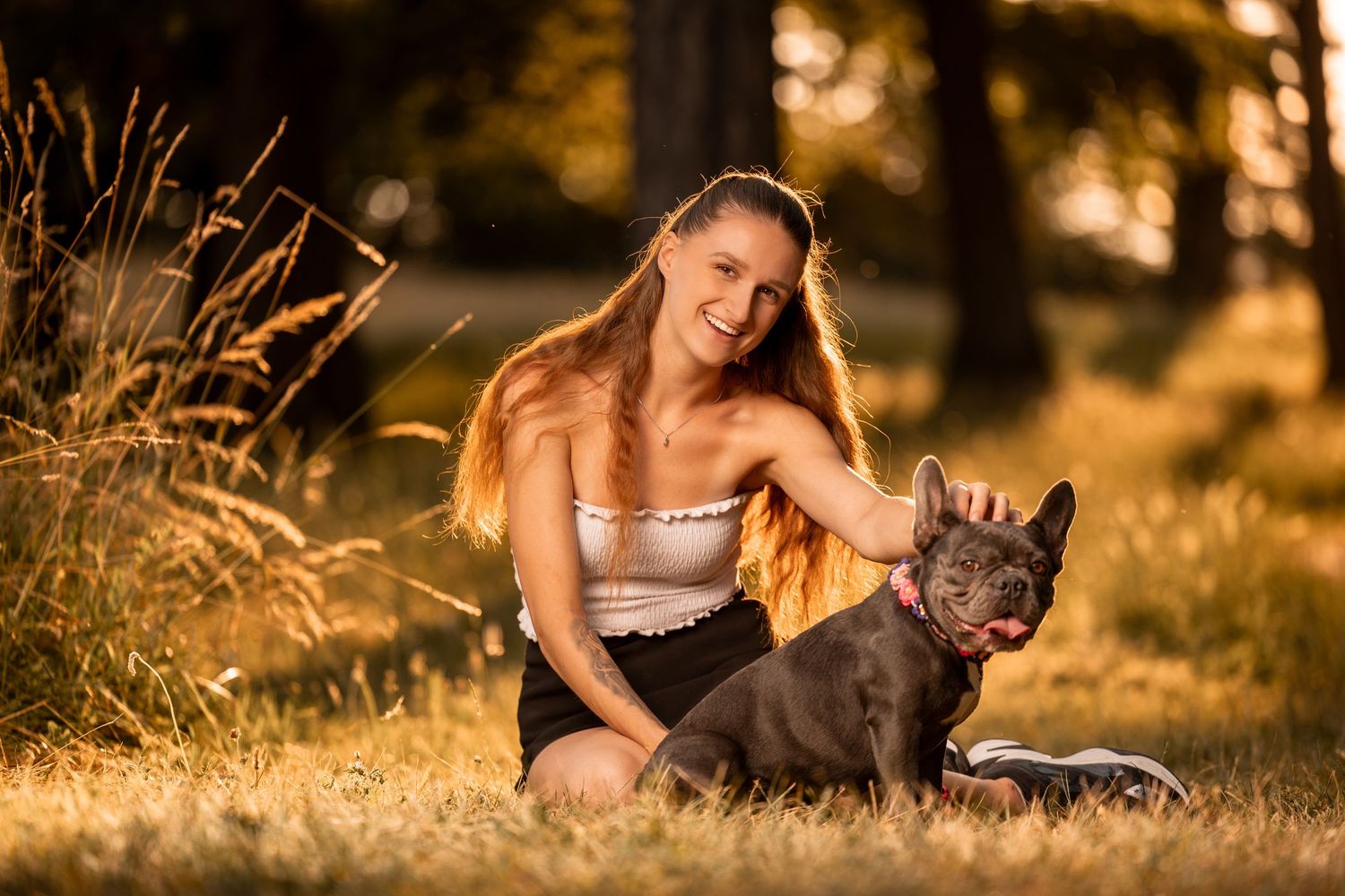 Person bonding with French Bulldog puppies in warm evening sunlight.