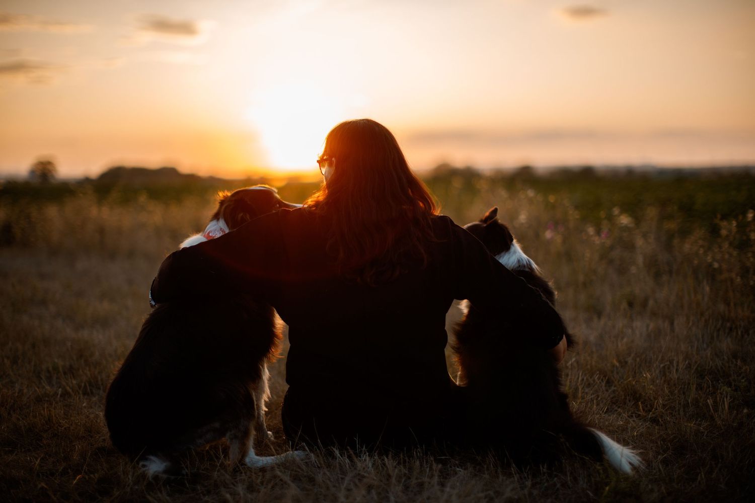 Mensch und Hunde beim Sonnenuntergang