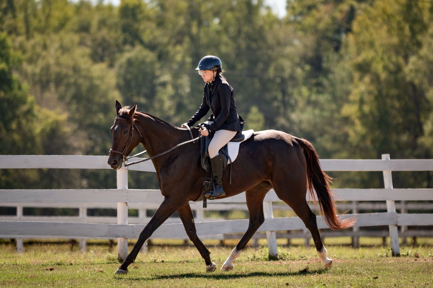 English rider in a black helmet and jacket riding a bay horse at the Haunted Hooves horse show at Tasch Stables in Georgia.