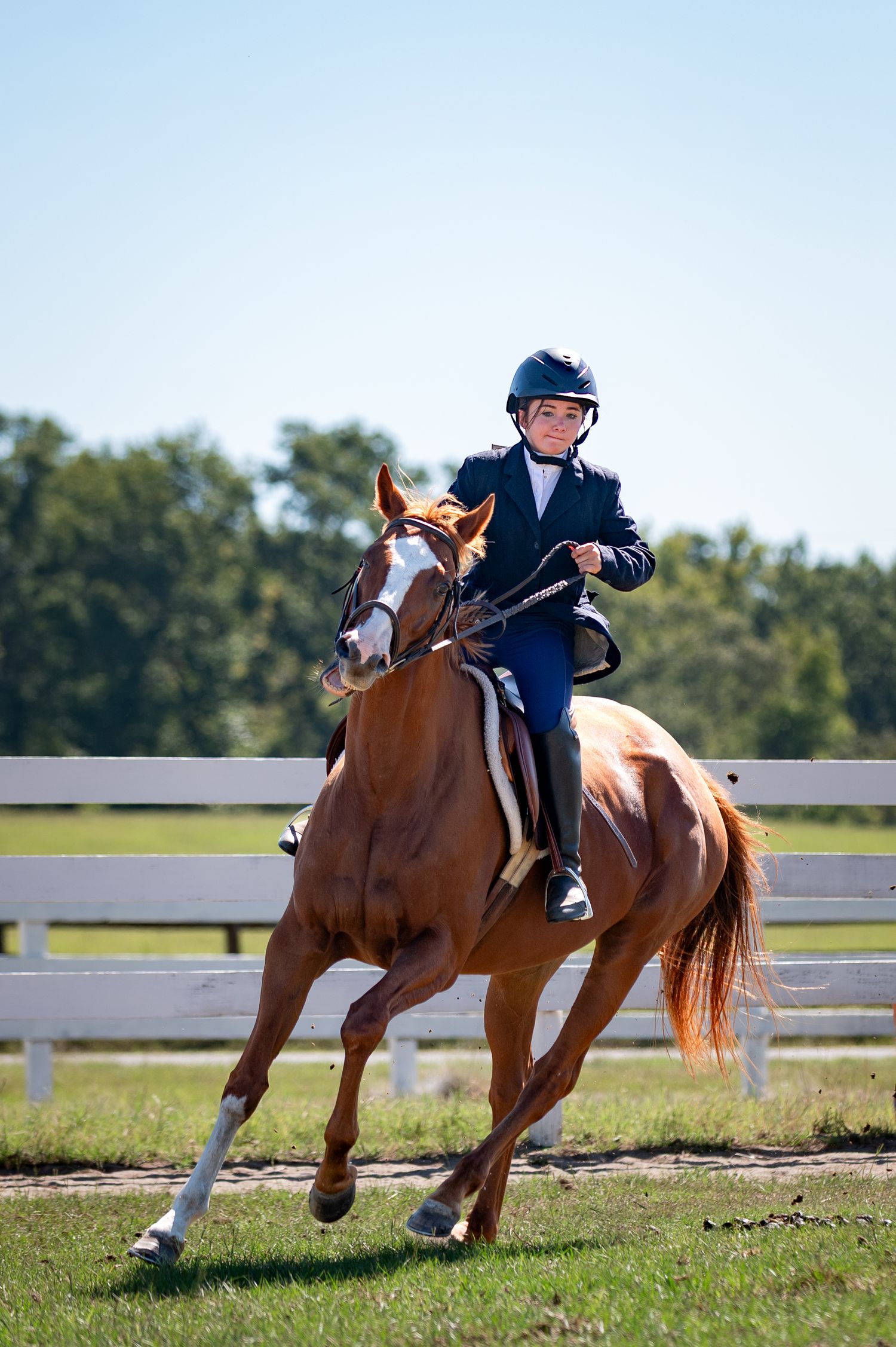 Young equestrian rider in navy attire guiding a chestnut horse during the Haunted Hooves horse show at Tasch Stables in Georgia.